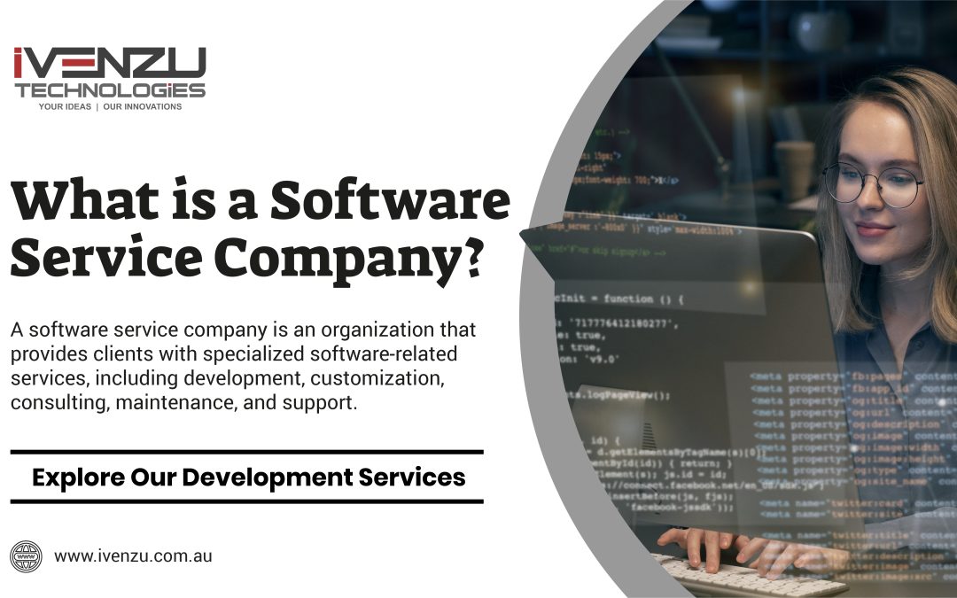 What is a Software Service Company?